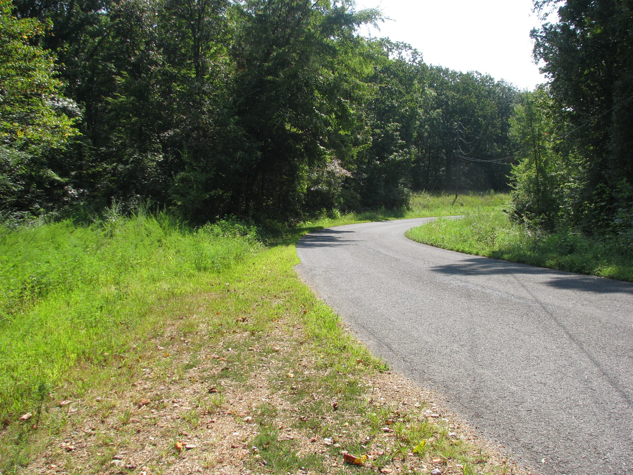0 Sycamore Landing Road Waverly, TN 37185 - Photo 8 of 10 a view of a garden with a pathway