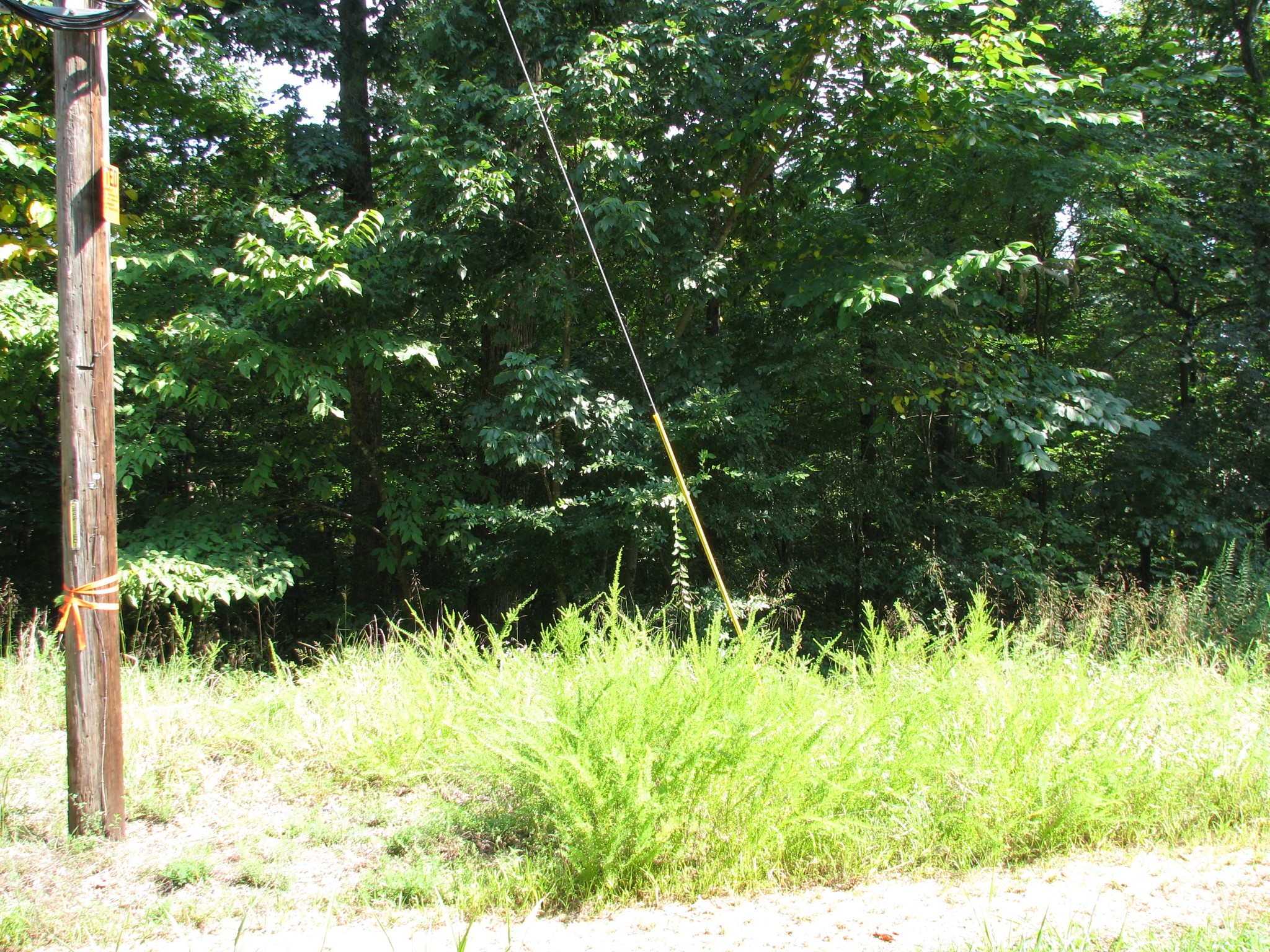 0 Sycamore Landing Road Waverly, TN 37185 - Photo 9 of 10 a backyard of a house with lots of green space