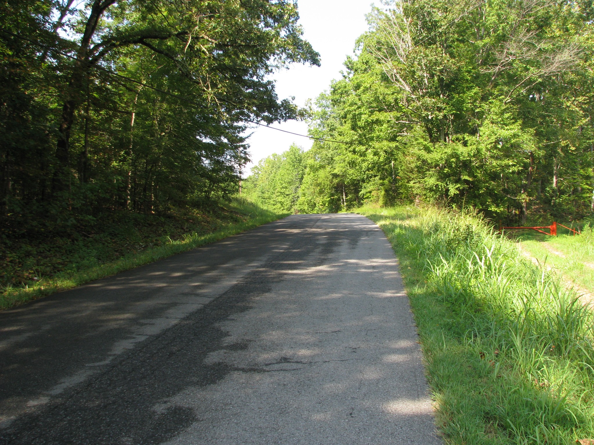 0 Sycamore Landing Road Waverly, TN 37185 - Photo 10 of 10 a view of a yard with plants and trees