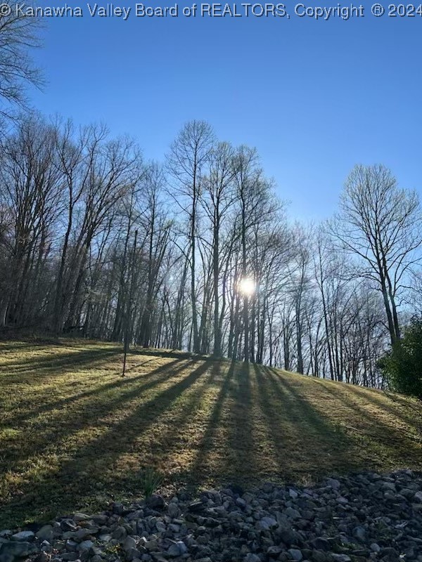 2159 Garrett Fork Road Chapmanville, WV 25508 - Photo 6 of 48 Gallery Image 6