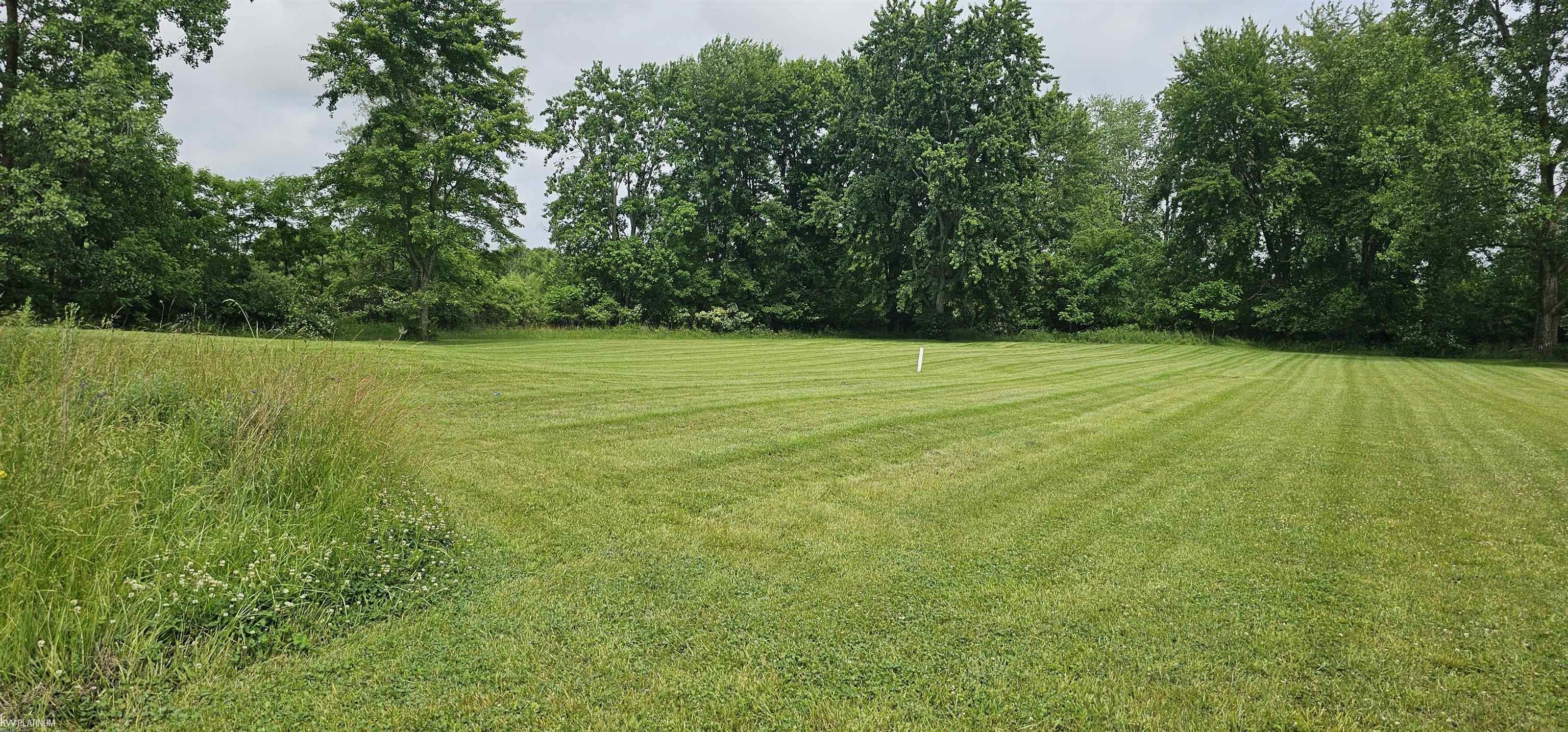 0 Church Street Capac, MI 48014 - Photo 4 of 6