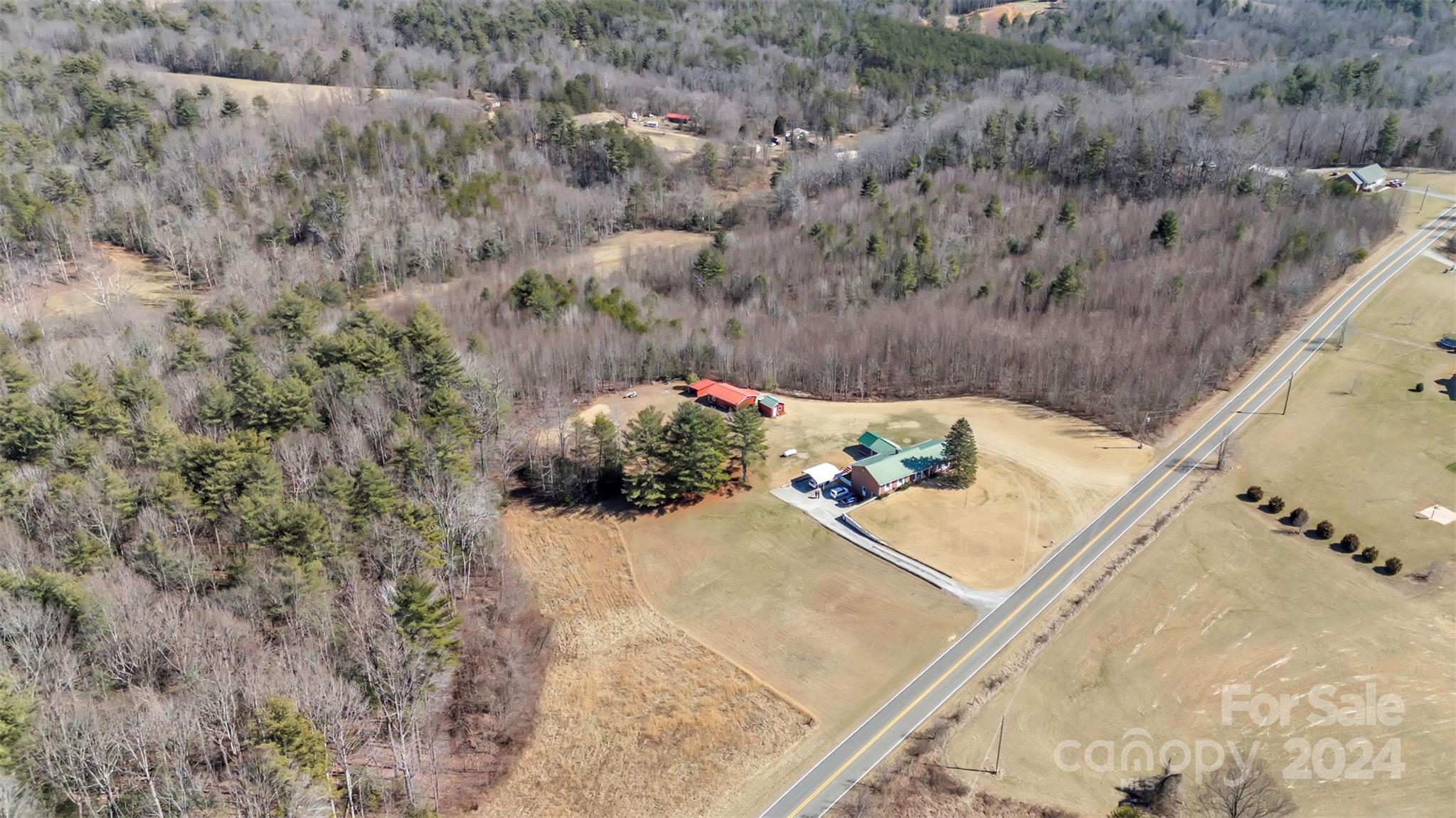 250 Clyde Hayes Road Lowgap, NC 27024 - Photo 2 of 29 Gallery Image 2