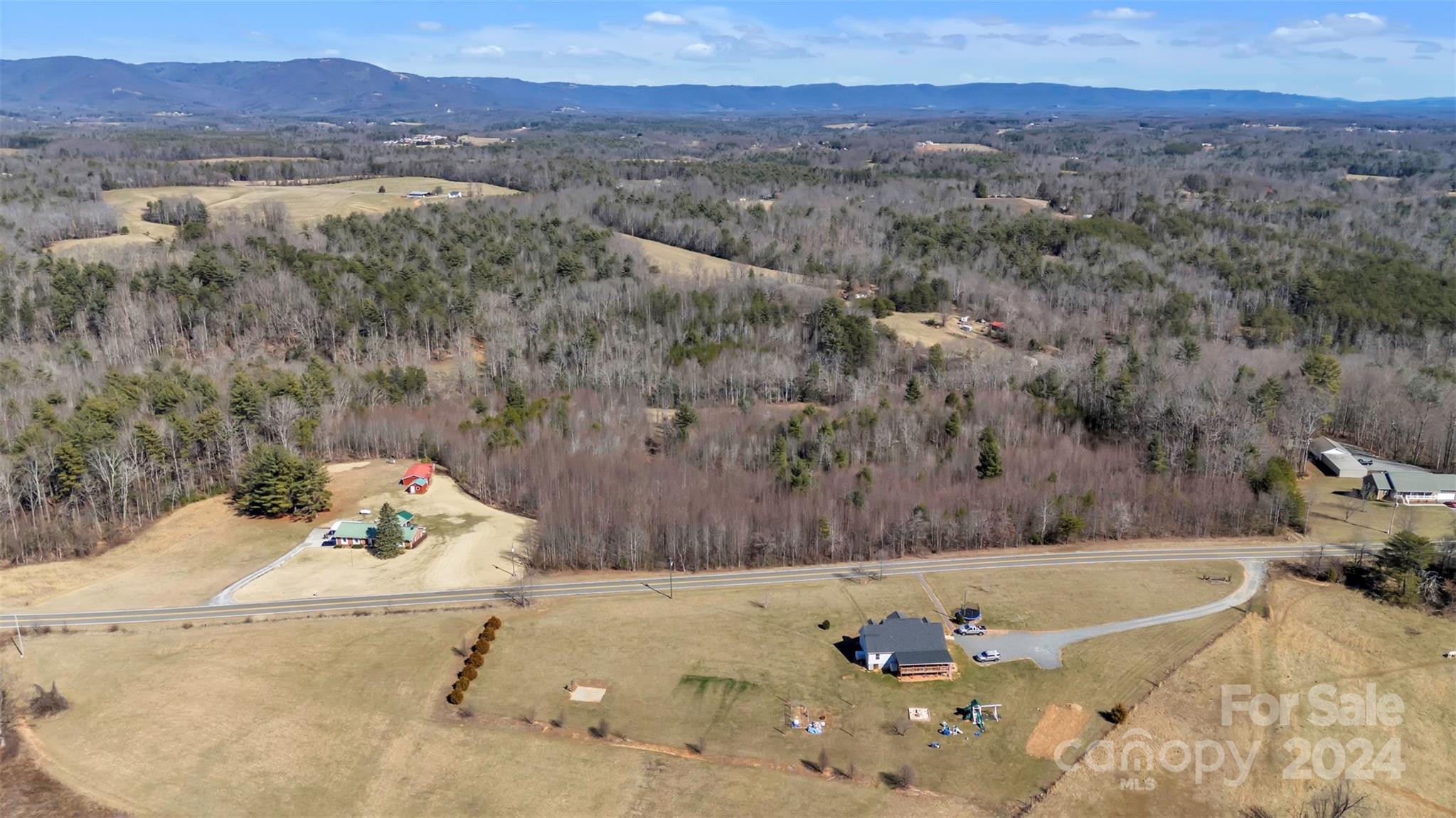 250 Clyde Hayes Road Lowgap, NC 27024 - Photo 3 of 29 Gallery Image 3