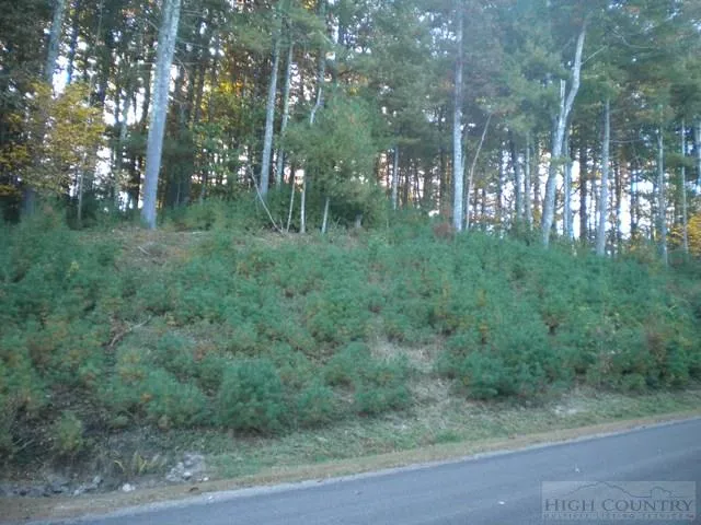 $45,500 | Lot 3 Pine Chase Glade Valley, Glade Valley, NC 28627