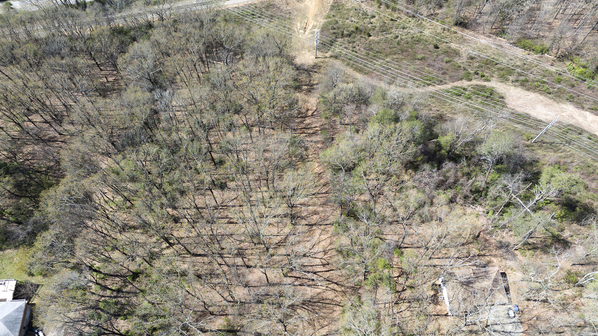 269 Whitehall Road Chattanooga, TN 37405 - Photo 11 of 14 KHP01