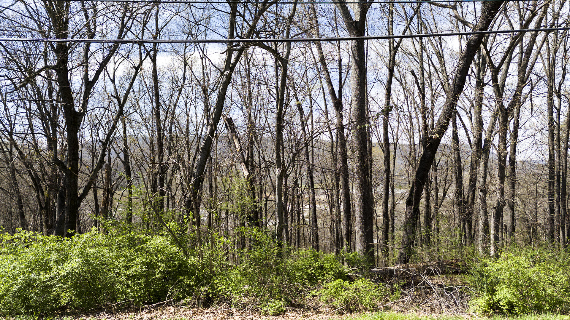 269 Whitehall Road Chattanooga, TN 37405 - Photo 14 of 14 KHP08