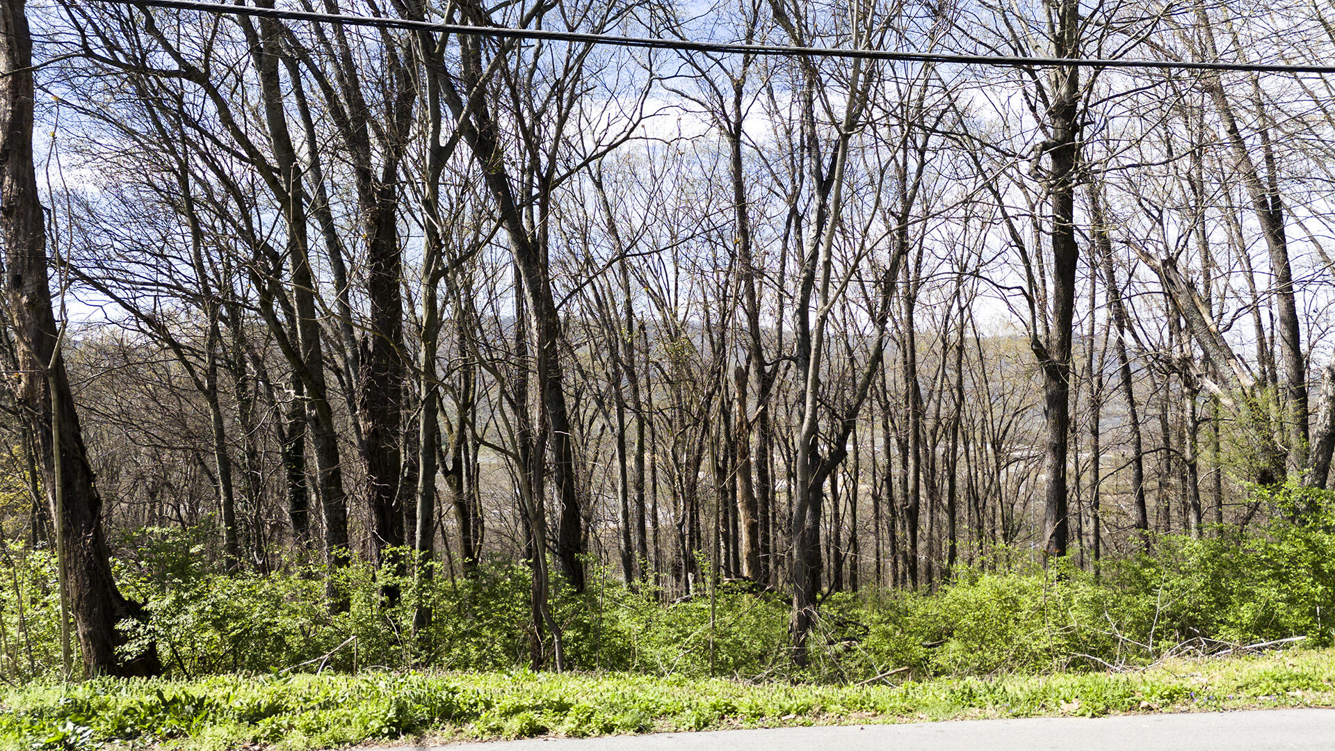 269 Whitehall Road Chattanooga, TN 37405 - Photo 3 of 14 KHP10