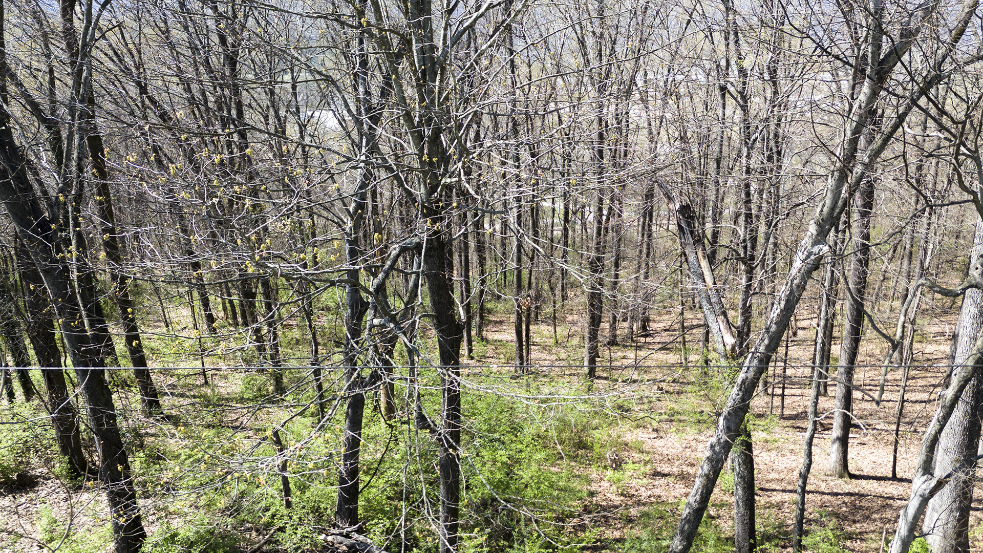 269 Whitehall Road Chattanooga, TN 37405 - Photo 6 of 14 KHP13