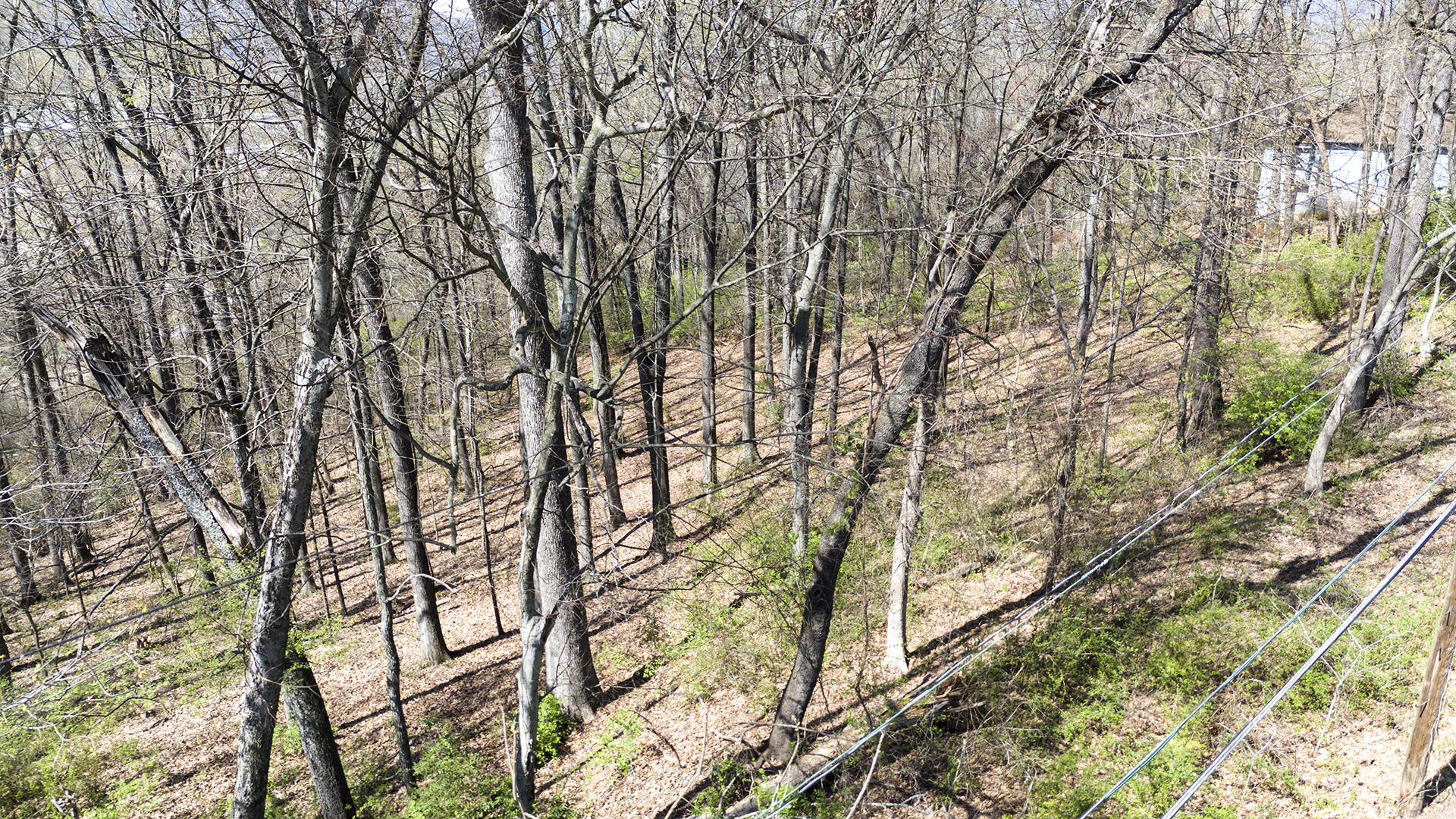 269 Whitehall Road Chattanooga, TN 37405 - Photo 7 of 14 KHP14