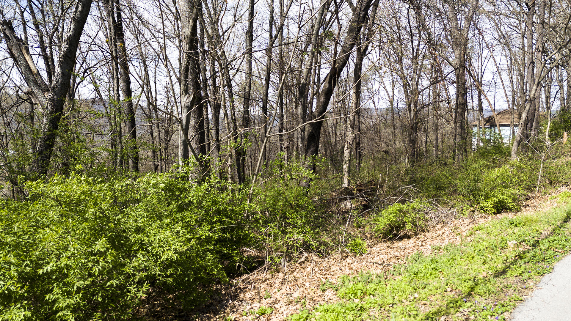 269 Whitehall Road Chattanooga, TN 37405 - Photo 9 of 14 KHP17