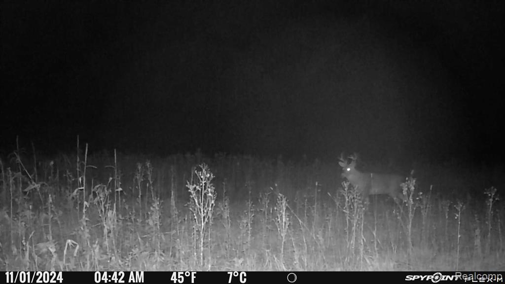 3940 Wilder Road Metamora, MI 48455 - Photo 23 of 42