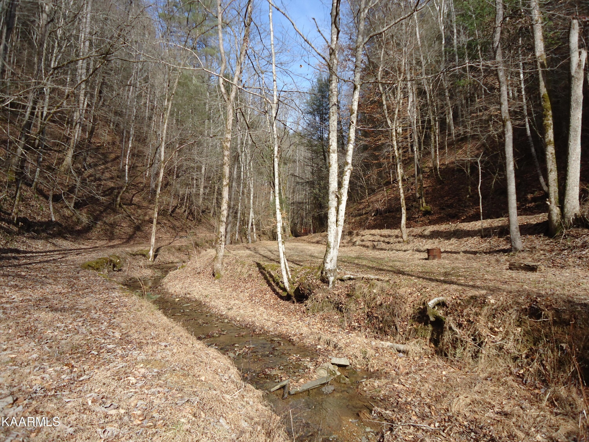 705 Antioch Church Road Vonore, TN 37885 - Photo 38 of 48 Gallery Image 38