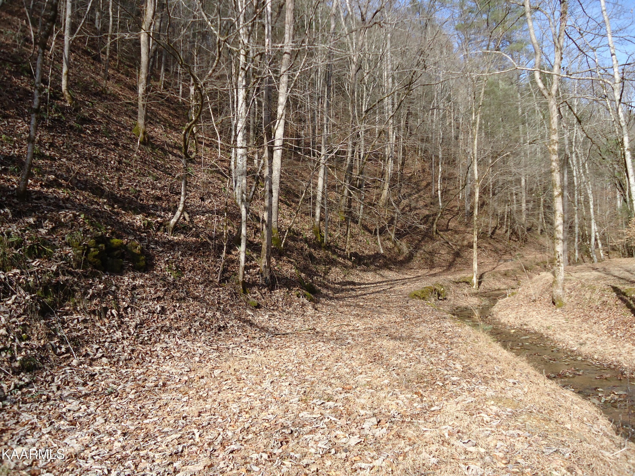 705 Antioch Church Road Vonore, TN 37885 - Photo 40 of 48 Gallery Image 40