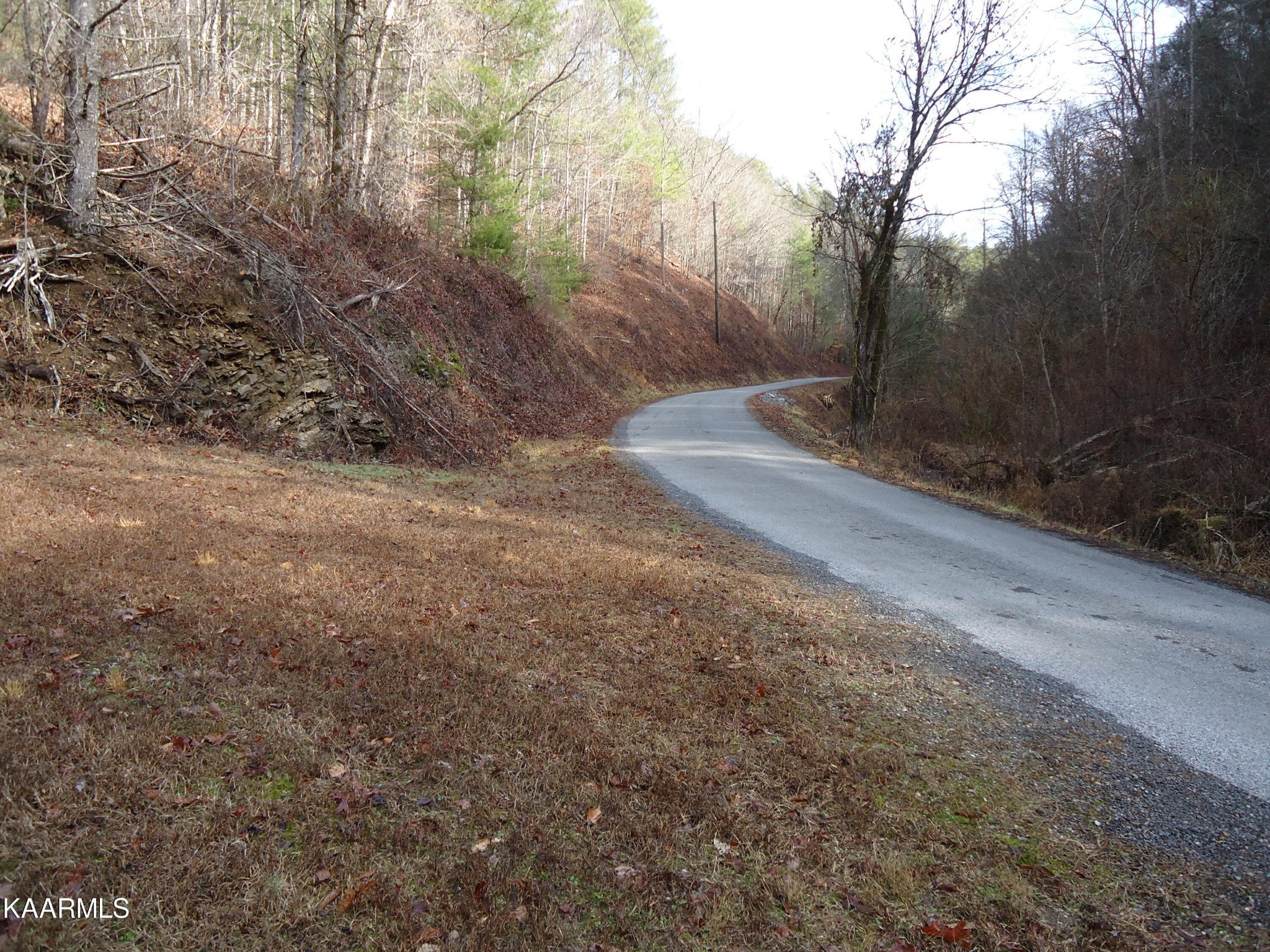 705 Antioch Church Road Vonore, TN 37885 - Photo 41 of 48 Gallery Image 41