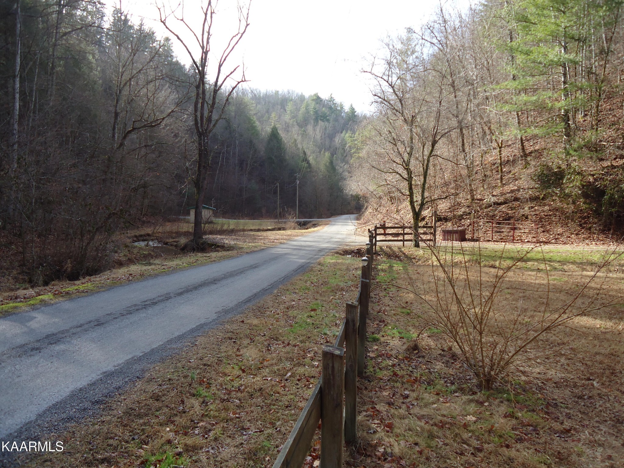 705 Antioch Church Road Vonore, TN 37885 - Photo 42 of 48 Gallery Image 42