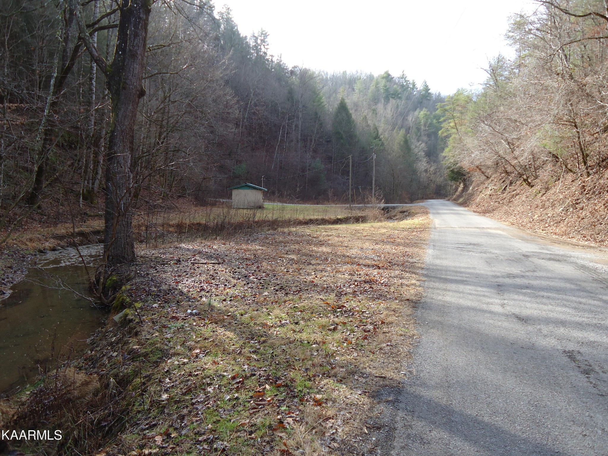 705 Antioch Church Road Vonore, TN 37885 - Photo 45 of 48 Gallery Image 45