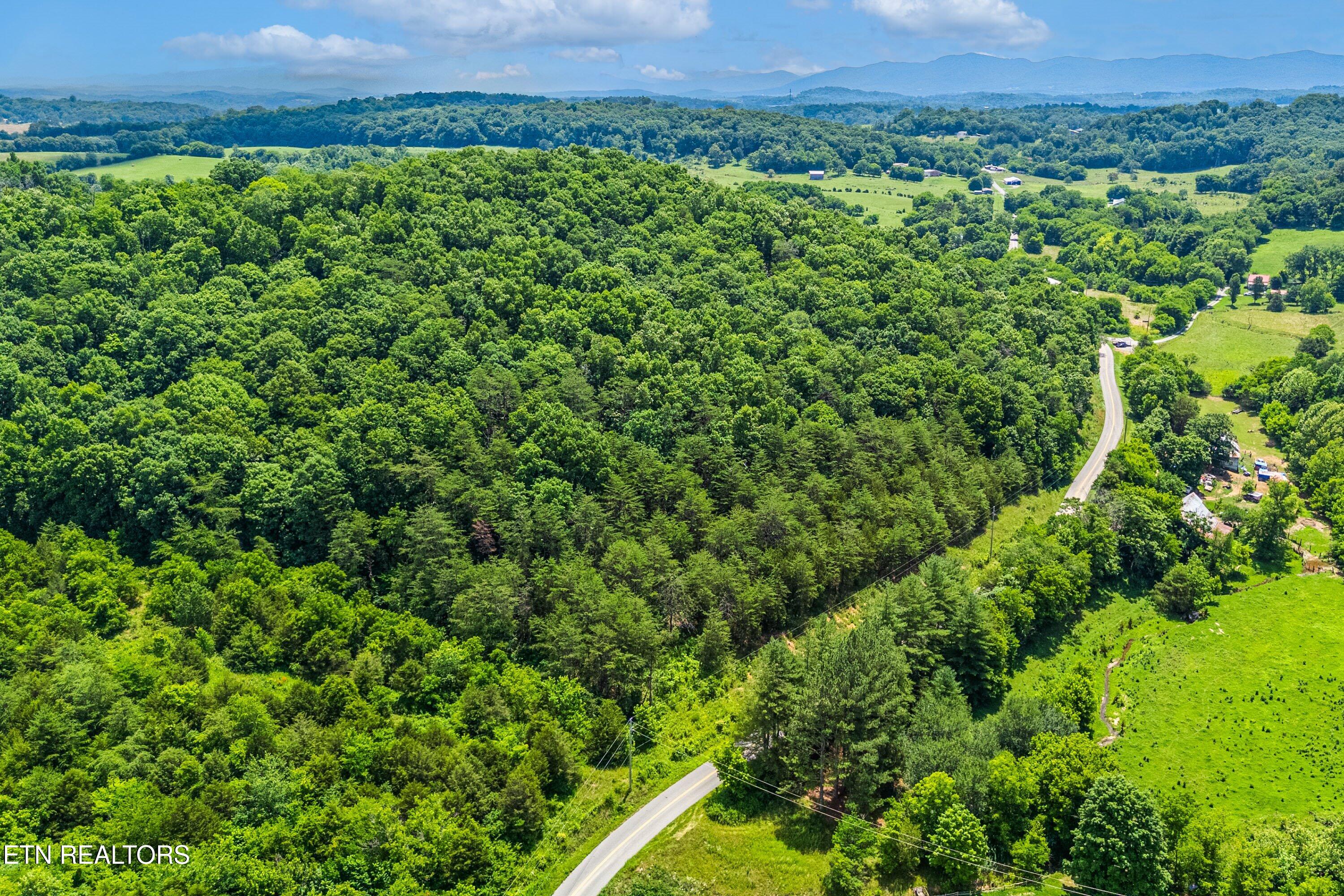 2165 Smelcer Road Parrottsville, TN 37843 - Photo 6 of 18 04-Lot Line A4