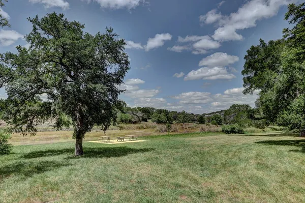 a view of lake with tree in front of it