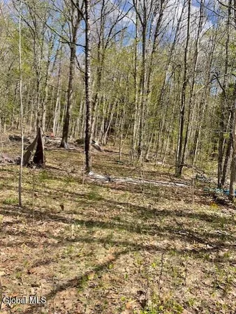 $48,500 | 860 Highway 30, Hope, NY 12134
