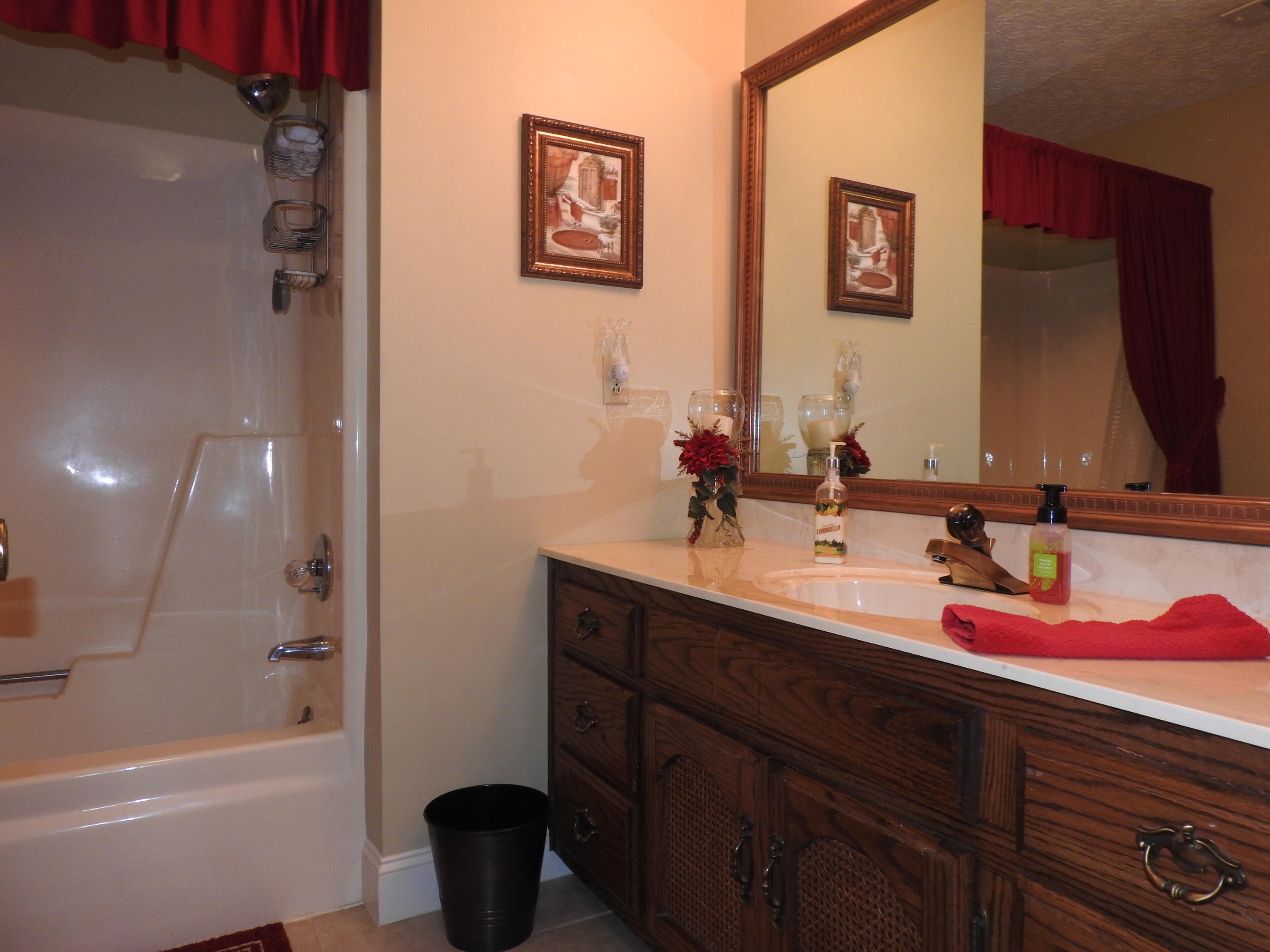 347 County Road 67 Riceville, TN 37370 - Photo 36 of 68 Hall Bath