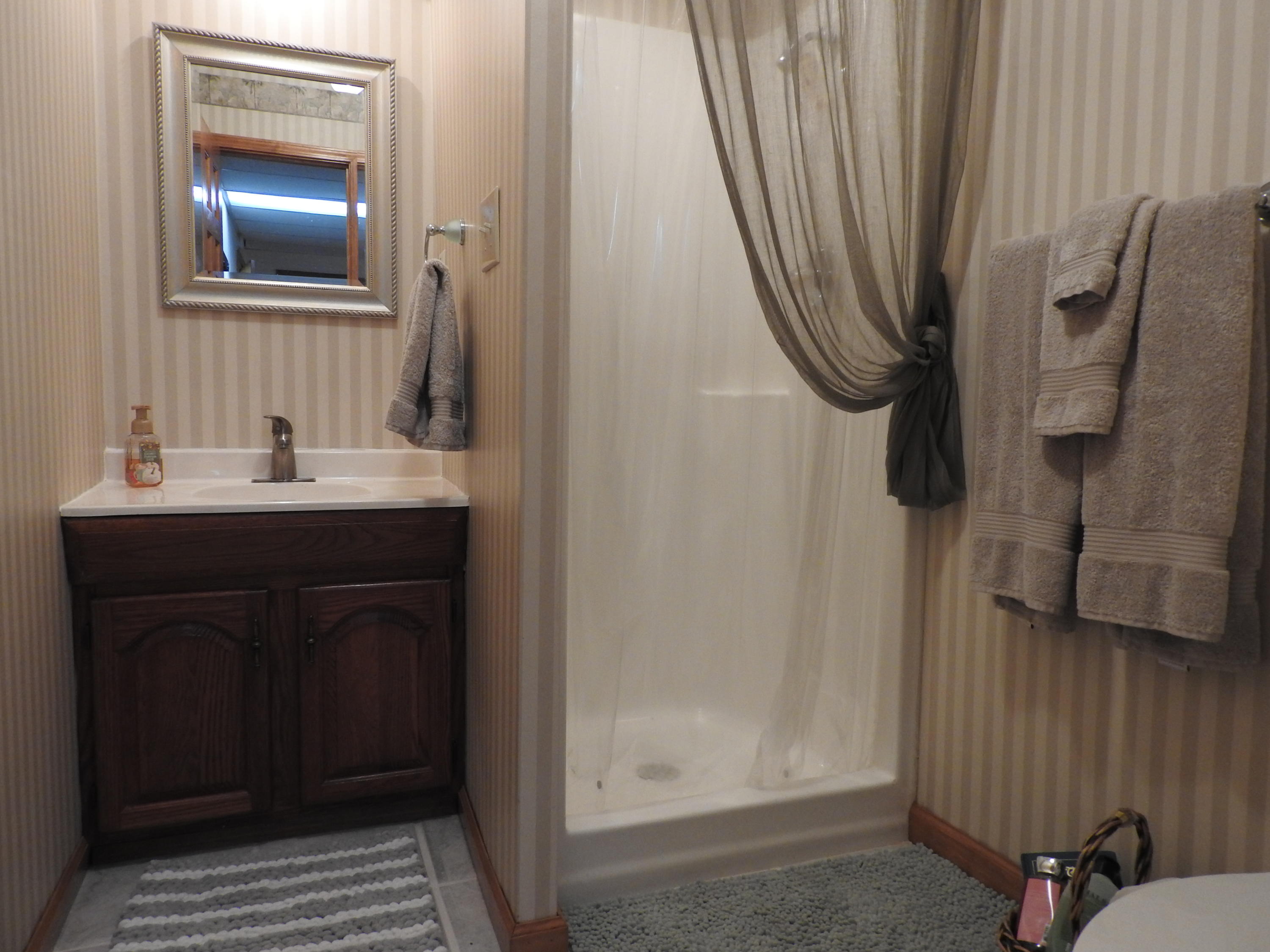 347 County Road 67 Riceville, TN 37370 - Photo 45 of 68 3rd Bath in Basement