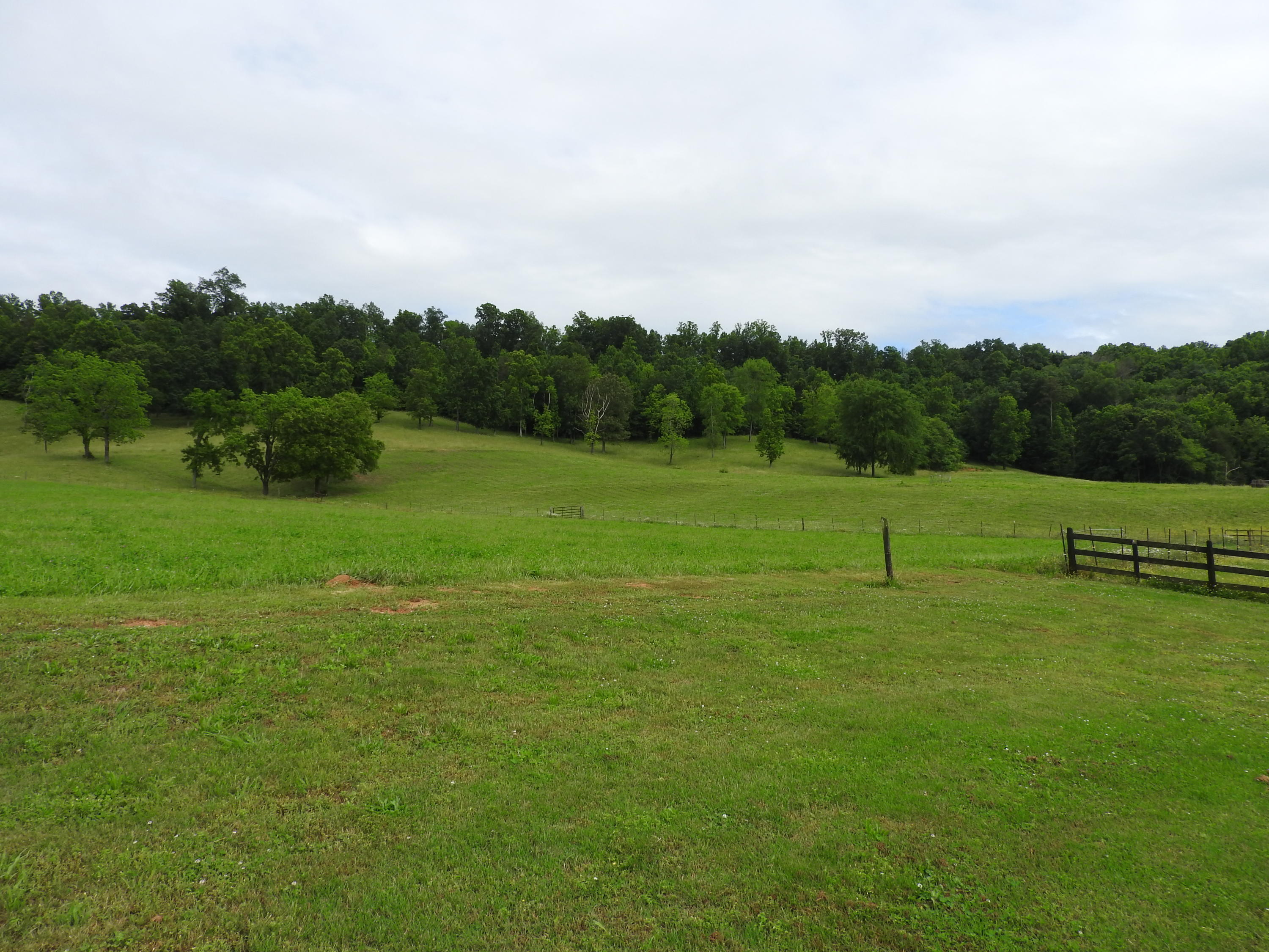 347 County Road 67 Riceville, TN 37370 - Photo 64 of 68 15 - 30 - 48.25 Acres