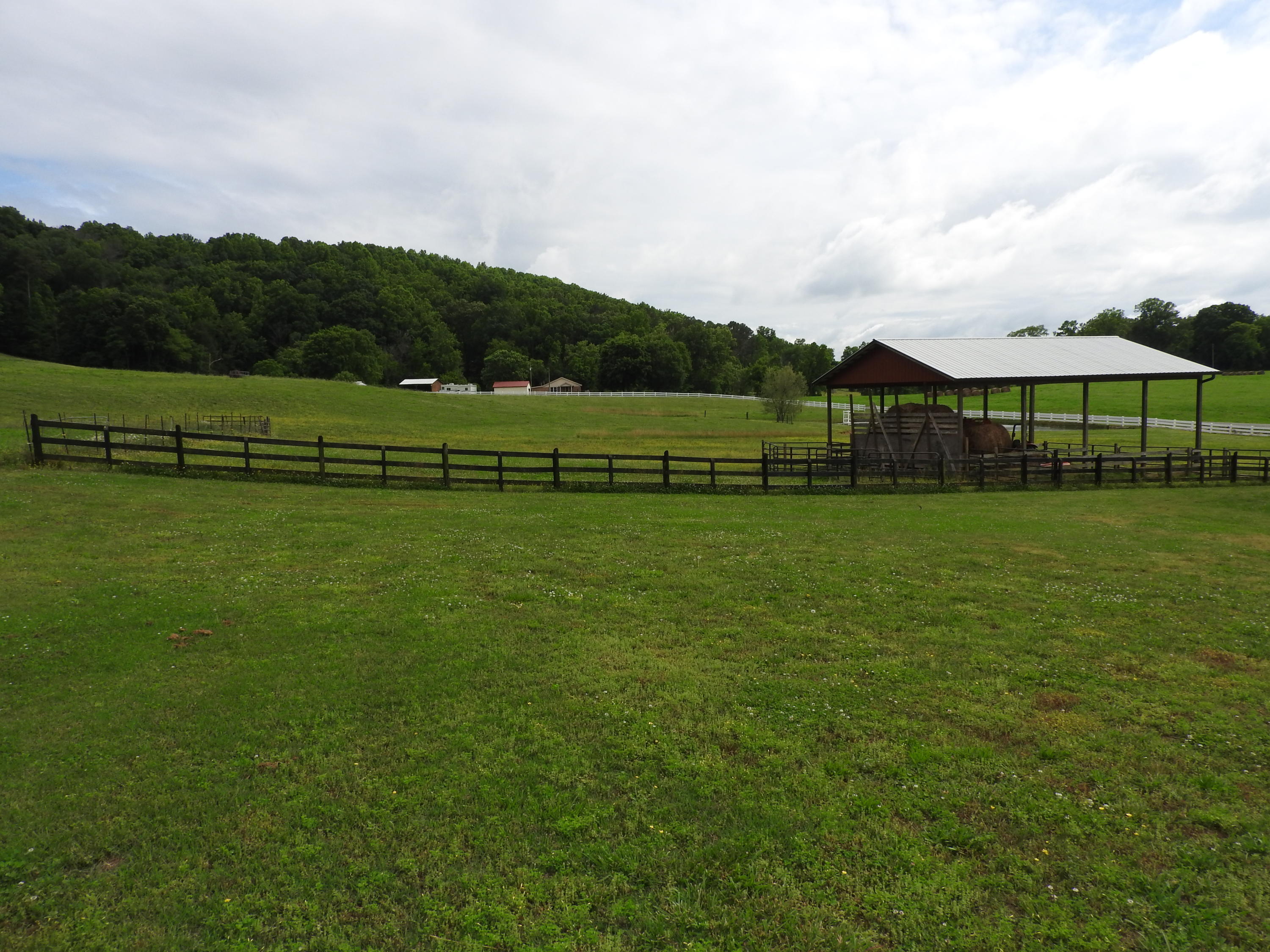 347 County Road 67 Riceville, TN 37370 - Photo 66 of 68 Pasture View of Pole Barn