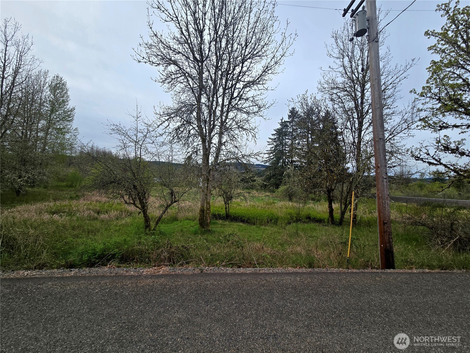 198 Chandler Road Chehalis, WA 98532 - Photo 4 of 6 Gallery Image 4