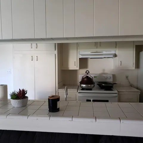 a kitchen with an oven a cabinets and a potted plant