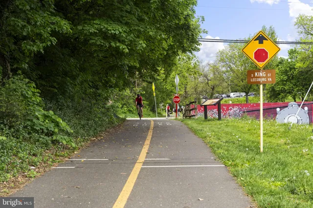 a view of street with beautiful flower and trees