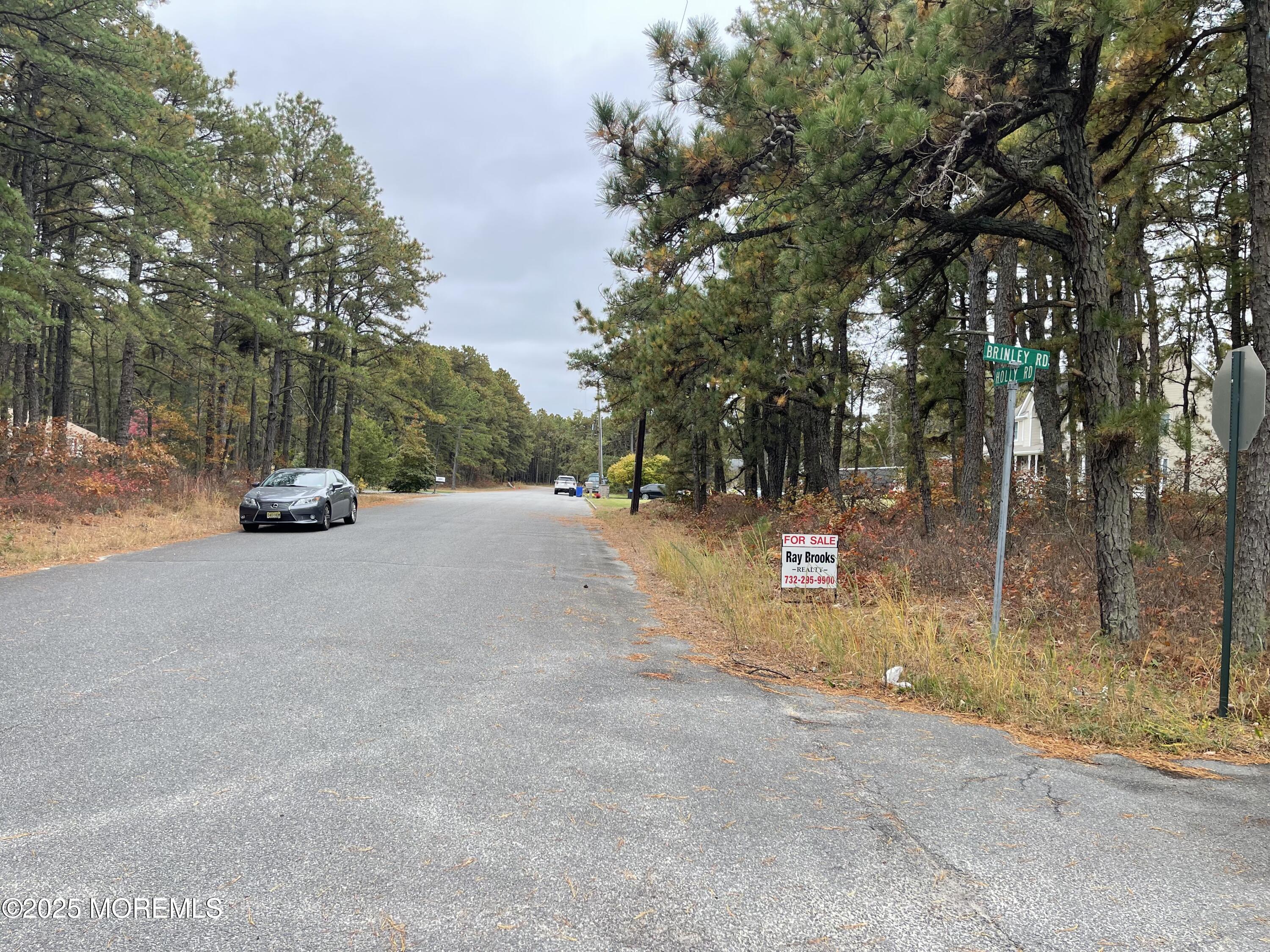 0 Holly Road Forked River, NJ 08731 - Photo 2 of 3 a view of backyard with swimming pool and trees