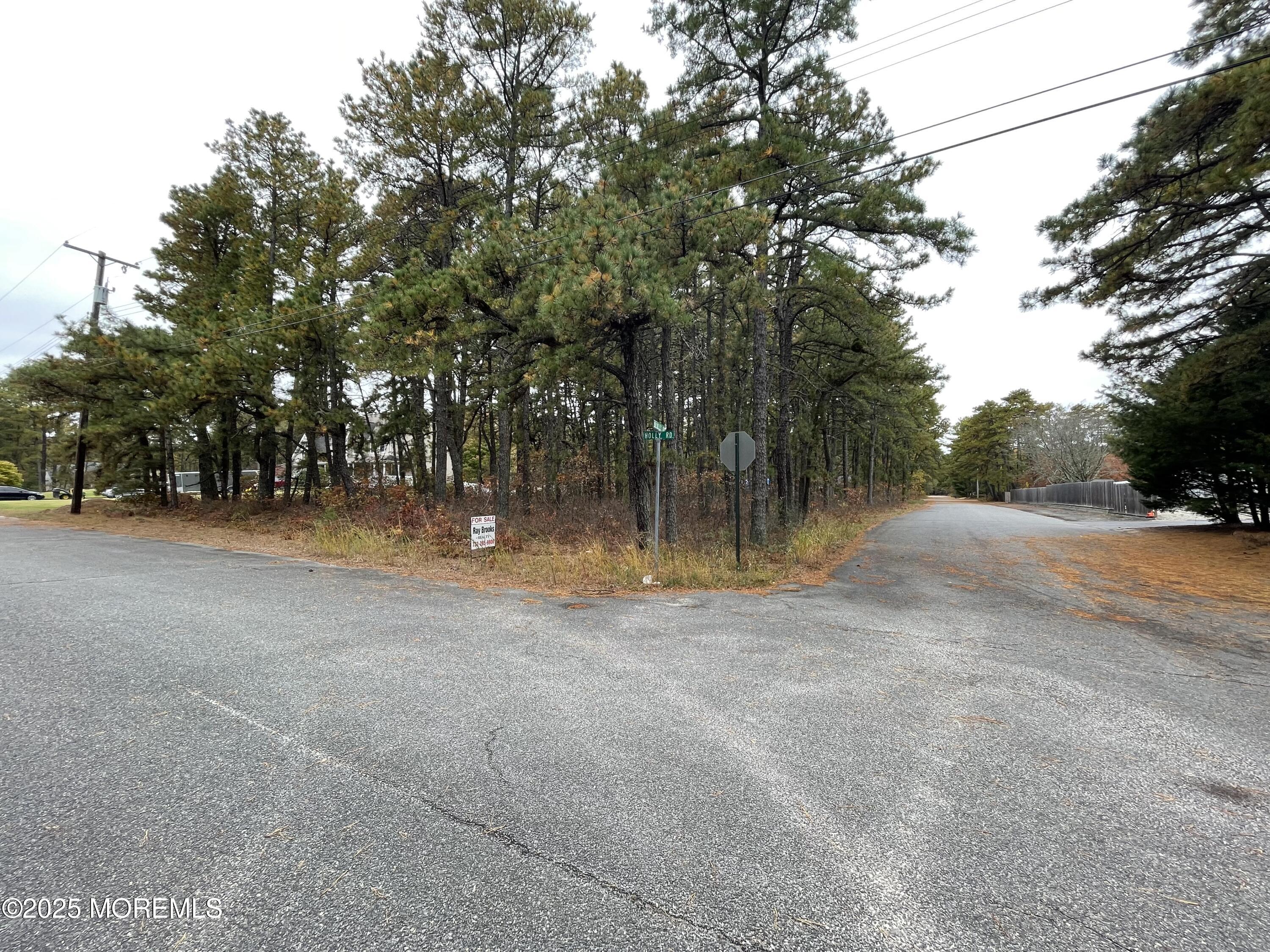0 Holly Road Forked River, NJ 08731 - Photo 3 of 3 a view of outdoor space with trees