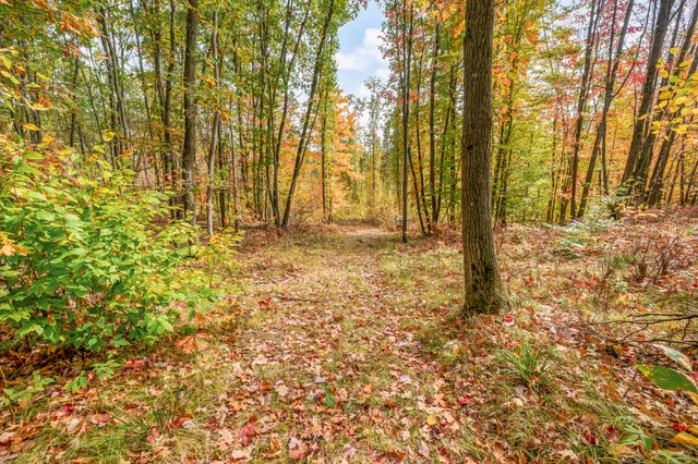 $121,000 | 8141 South 135th Avenue, Evart, MI 49631