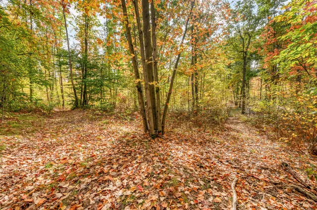 $121,000 | 8141 South 135th Avenue, Evart, MI 49631