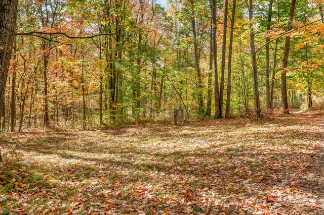 $121,000 | 8141 South 135th Avenue, Evart, MI 49631