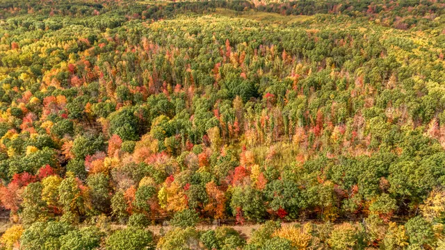 $121,000 | 8141 South 135th Avenue, Evart, MI 49631