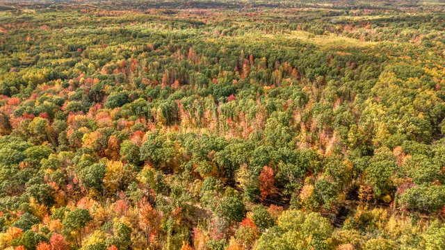 $121,000 | 8141 South 135th Avenue, Evart, MI 49631