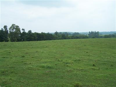 1275 Handys Bend Road Wilmore, KY 40390 - Photo 23 of 25 Photo 23