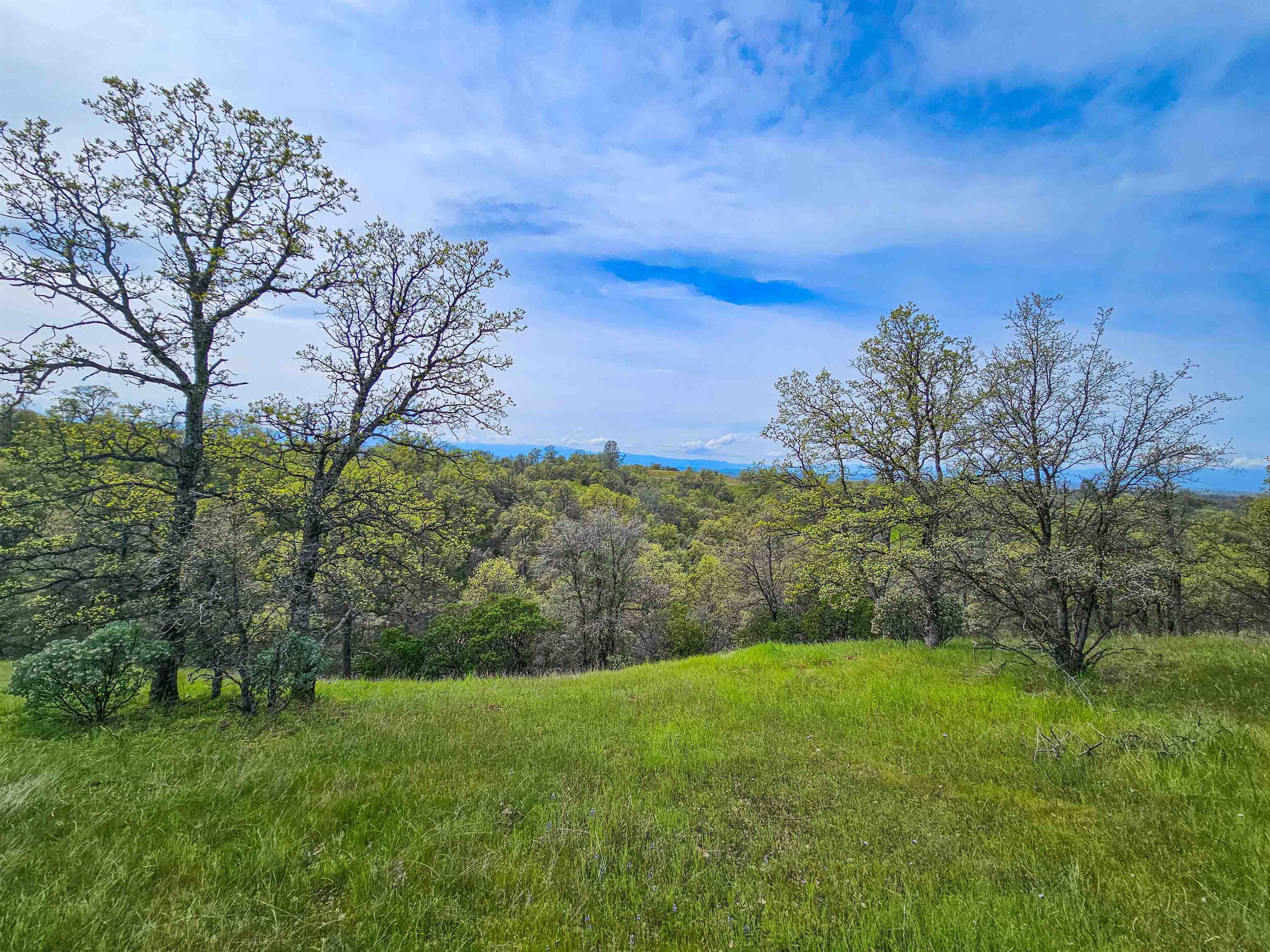 15510 Diamond Star Road Red Bluff, CA 96080 - Photo 16 of 24