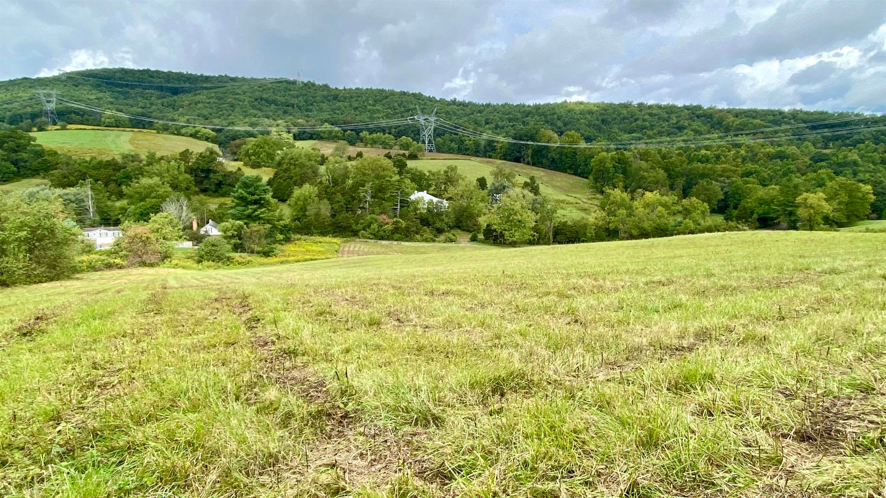 Tbd Castleton Road Max Meadows, VA 24360 - Photo 17 of 37 Gallery Image 17