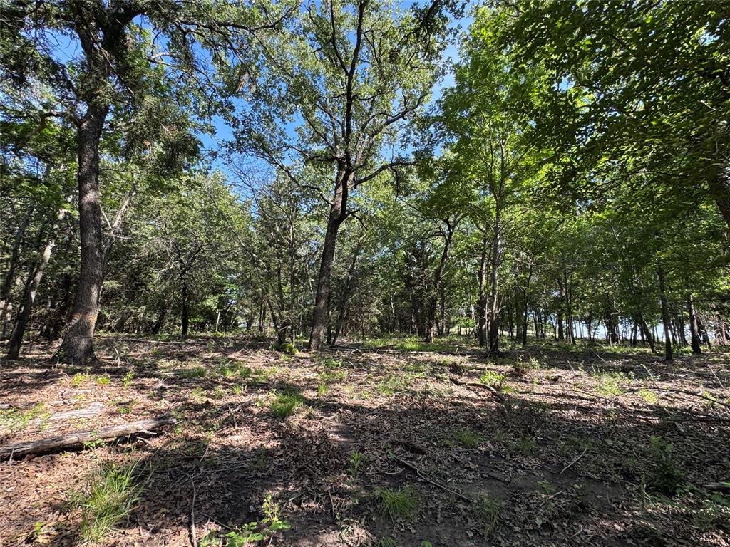 144 Cedar Oak Drive Decatur, TX 76234 - Photo 5 of 10 a view of outdoor space with trees all around