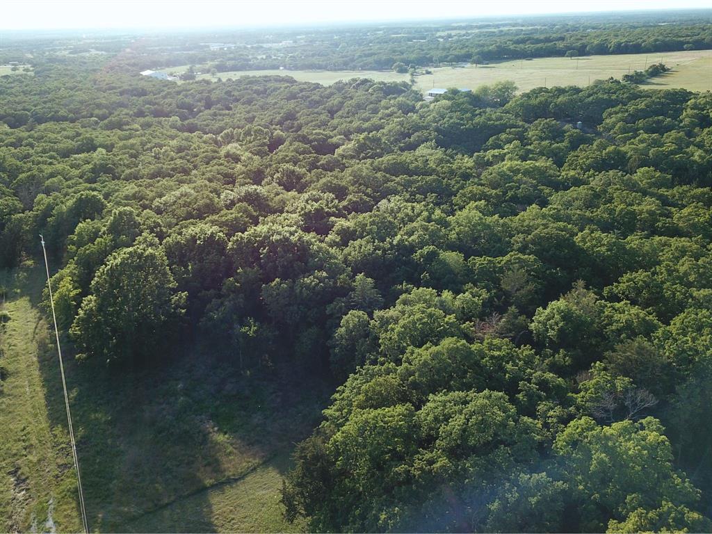 144 Cedar Oak Drive Decatur, TX 76234 - Photo 6 of 10 an aerial view of residential houses with outdoor space and trees