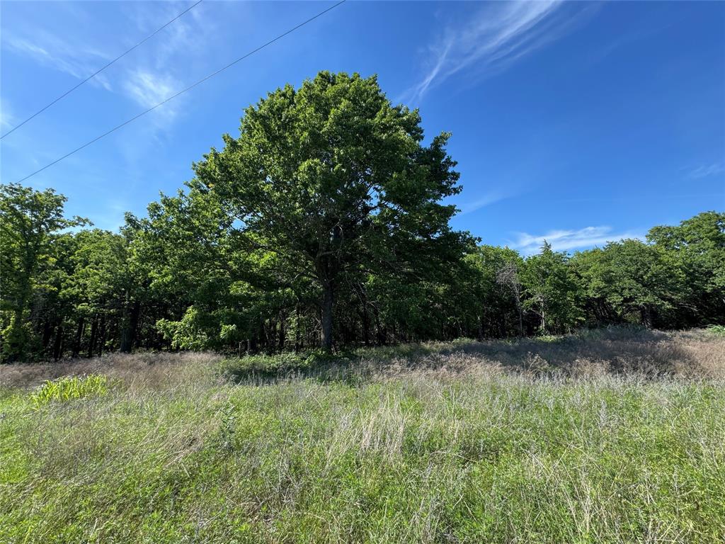 144 Cedar Oak Drive Decatur, TX 76234 - Photo 8 of 10 a view of outdoor space and yard