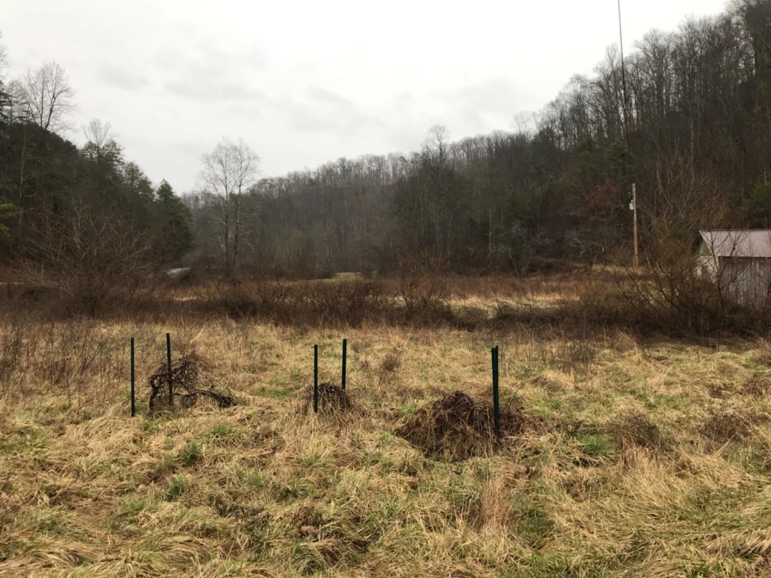 2134 North Ponder Branch Road Manchester, KY 40962 - Photo 9 of 31 Photo 9