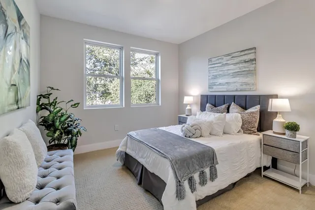 a view of a park with large trees