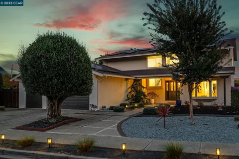 a view of a park with plants and a bench