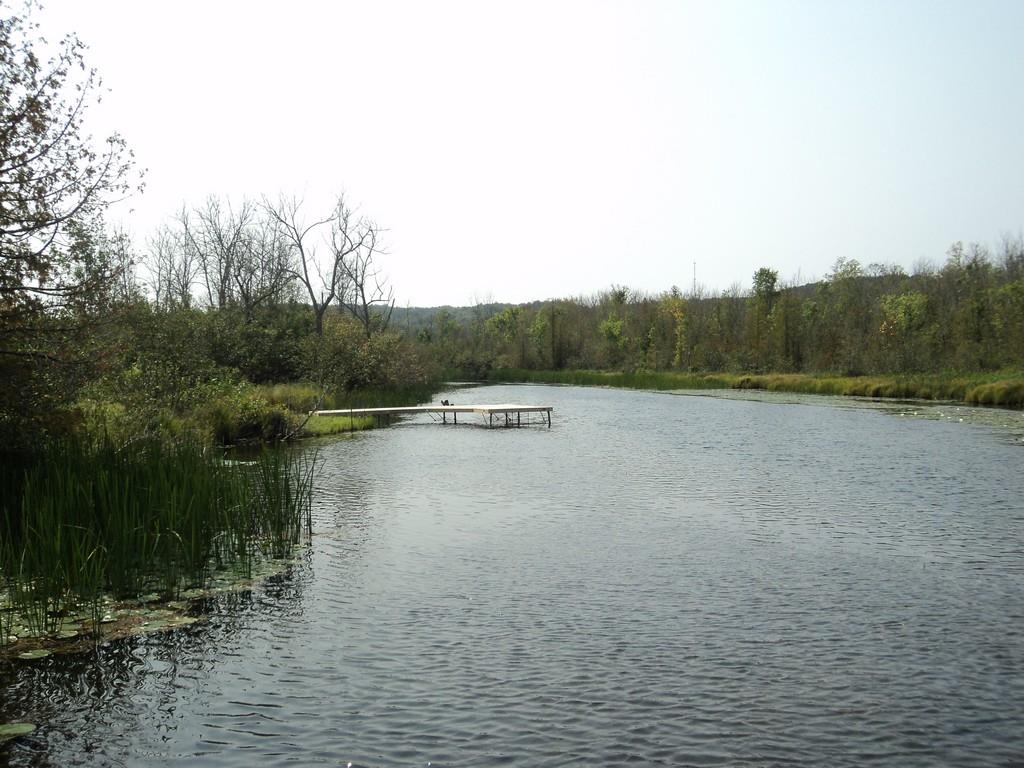 3957 Rushton Road Central Lake, MI 49622 - Photo 23 of 28 1806393-22.JPG