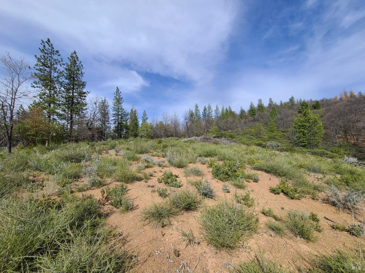47700 Bentley Ridge Road Covelo, CA 95428 - Photo 9 of 74