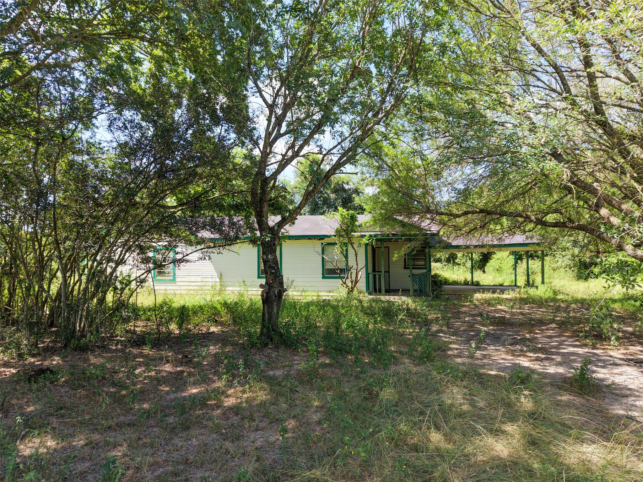 28619 Barry Lane Waller, TX 77484 - Photo 15 of 28 Mature shade trees create a peaceful setting and enhance the property's natural beauty.