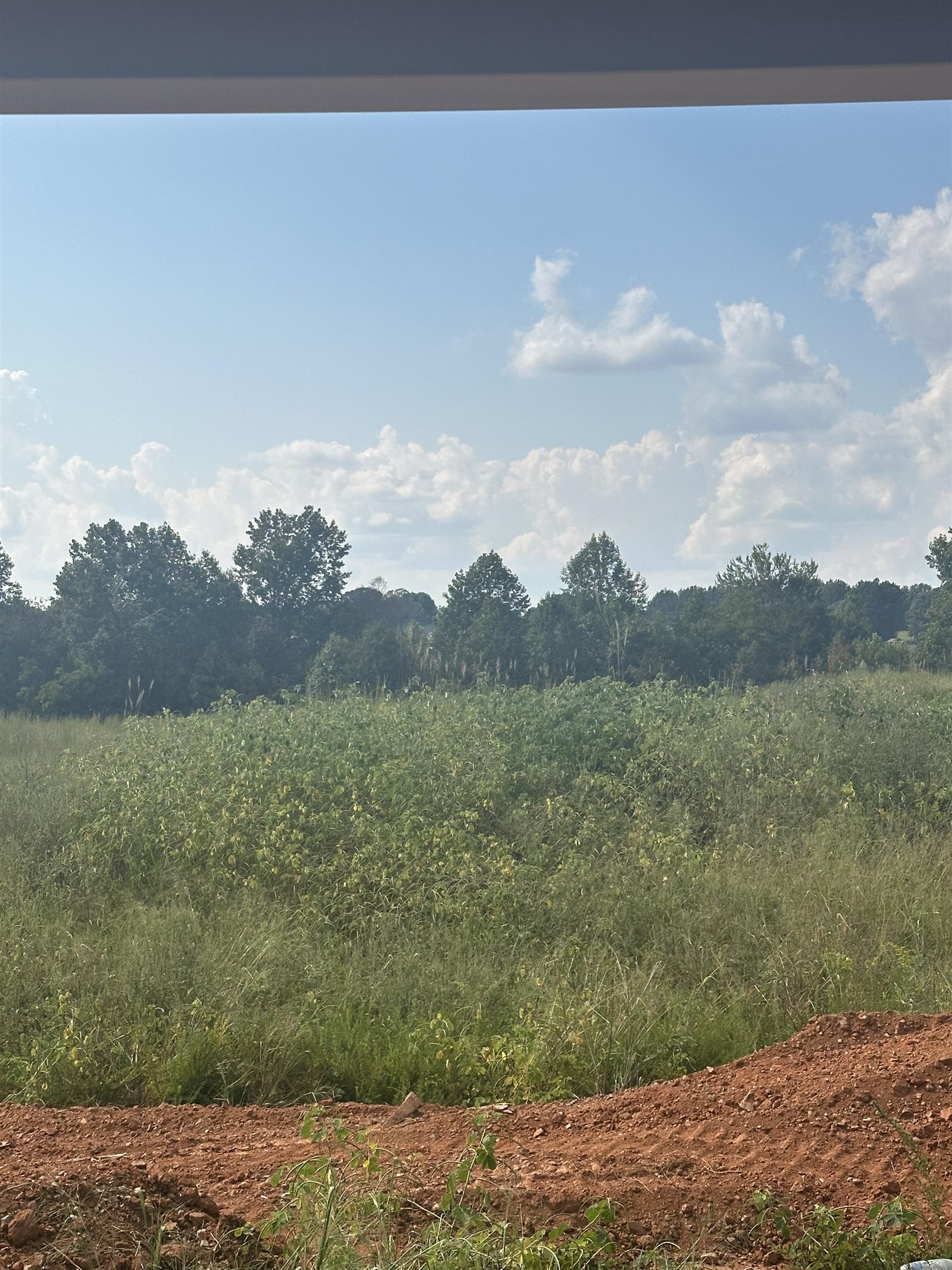 914 Gibbons Street Lyman, SC 29365 - Photo 14 of 34